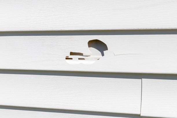 Best Construction Debris Removal  in Del Rio, CA